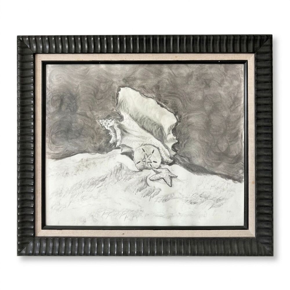 Handmade FRAMED Shell Starfish Sand Dollar Beach Art Drawing Illustration Art